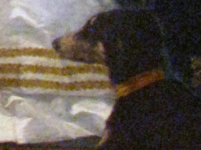 The Wicked Queen of the East